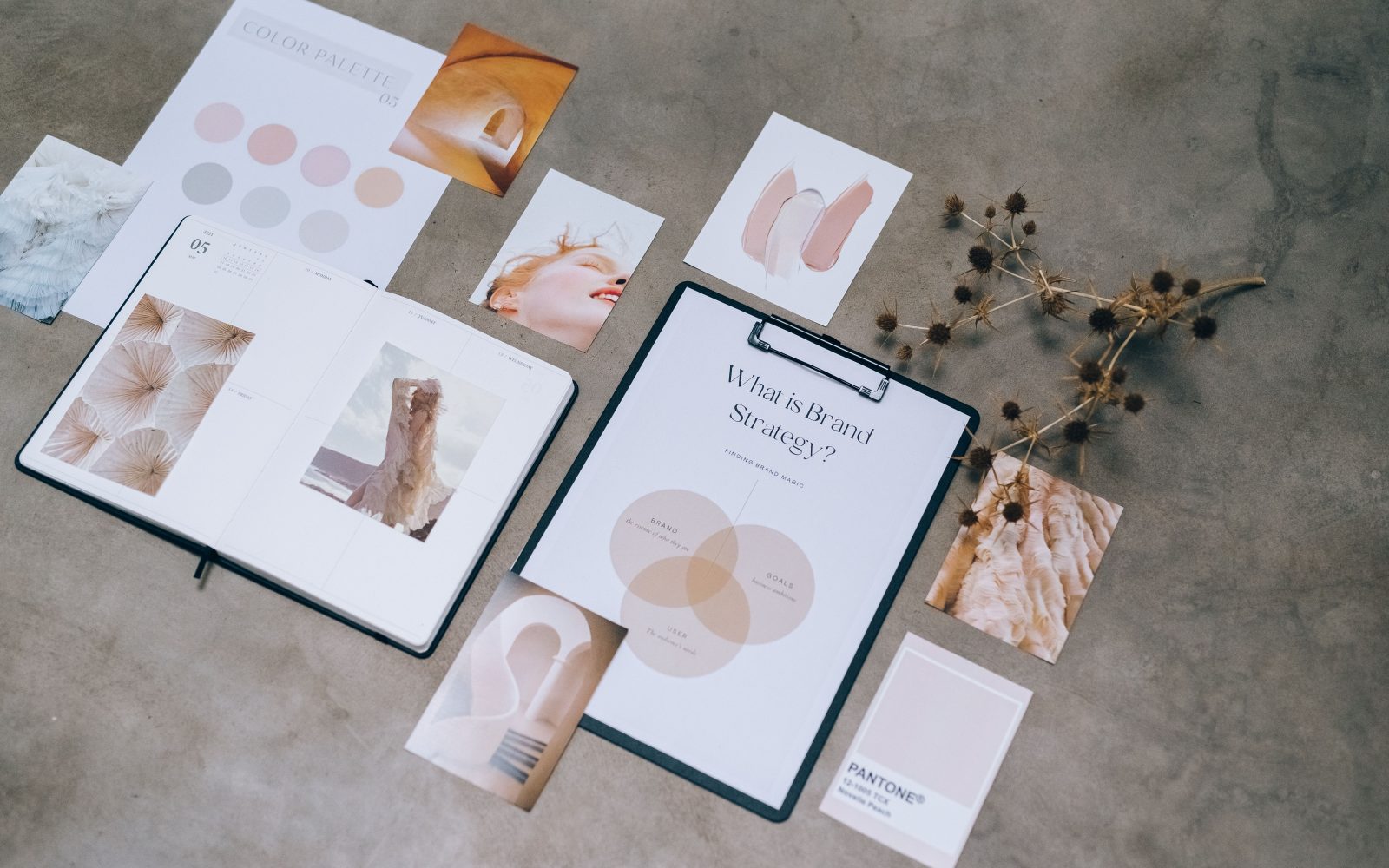 Moodboard et palette de couleurs pour identité visuelle