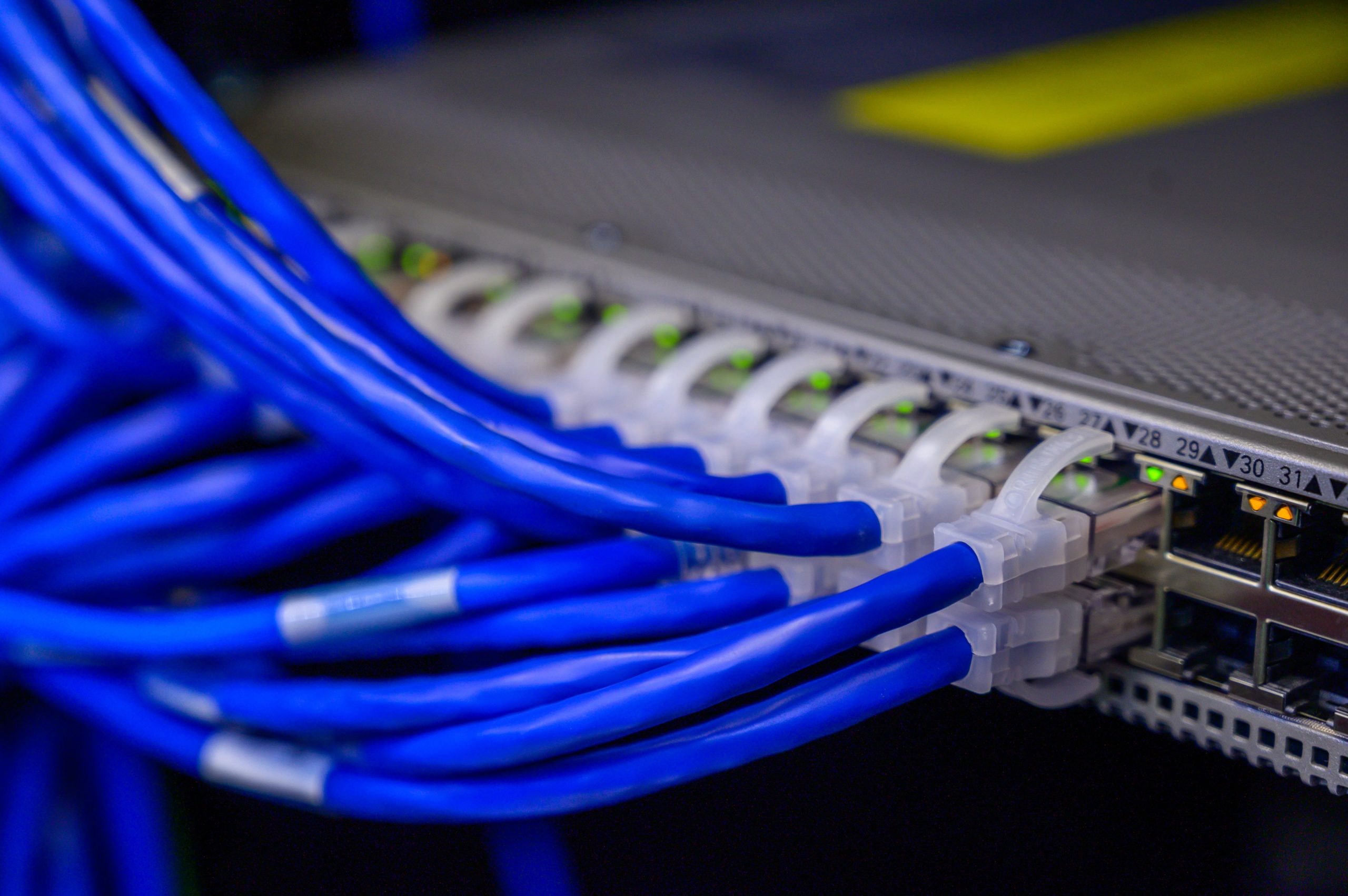 Câbles ethernet bleus connectés au switch réseau